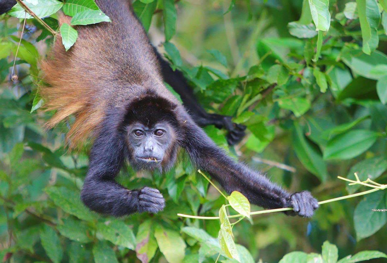 ce inseamna cand un barbat te priveste fix in ochi